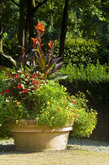 Summer flowers in a planter