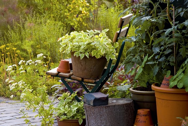 Farmhouse Kitchen Garden Folding Chair