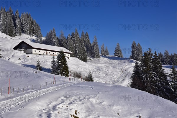 On the way to the Mittelalpe above the Riedberg Pass in the Kleinwalstertal Mountains