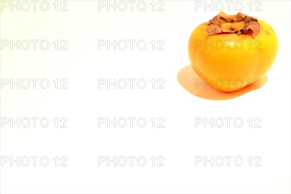 Persimmon