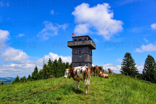 Observation tower on the Hauchenberg near Weitnau in Allgaeu