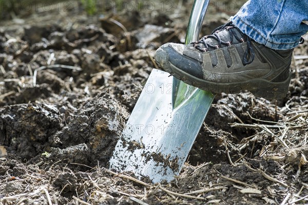 Preparing a garden bed