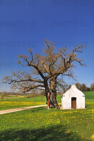 Chapel of St Anthony in Haselbach