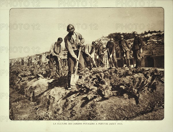 Soldiers growing vegetables in kitchen garden in trench at Pervijze in Flanders during the First World War