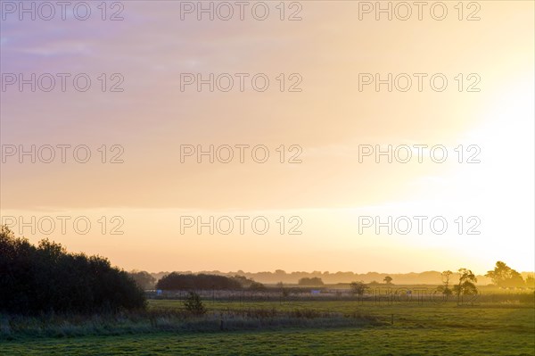 Sunrise in the Breites Wasser nature reserve