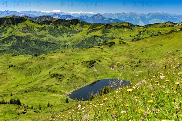 View of Lake Suenser in the Damuelser Mountains in the Bregenzerwald