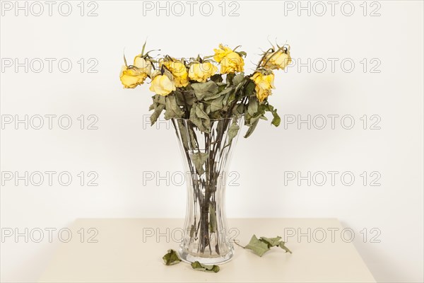 Withered bouquet of roses in a flower vase
