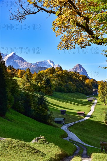 Alpine pasture above Garmisch in the Wetterstein Mountains