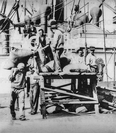 Old early 1900s photo of stevedores