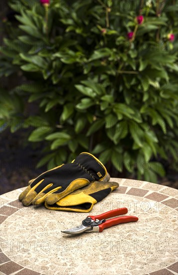 Secateurs and gloves on a garden table