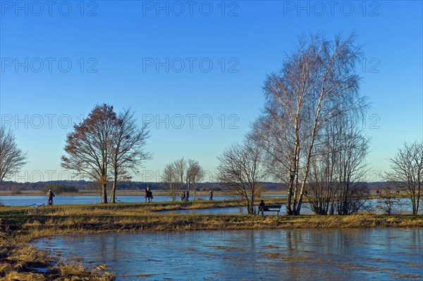 Walkers in the Breites Wasser nature reserve near Worpswede