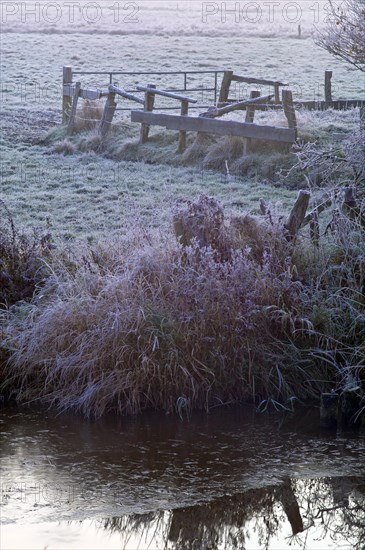 Sunrise in the Breites Wasser nature reserve in Worpswede