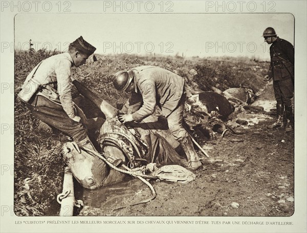 Soldiers butchering dead horses for the meat after bombardment in Flanders during the First World War