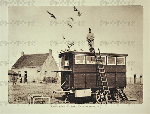 Soldier standing on dovecote letting out carrier pigeons at De Panne in Flanders during the First World War