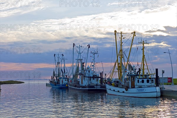 Wremertief in the district of Cuxhaven Crab cutter in the harbour Germany Europe
