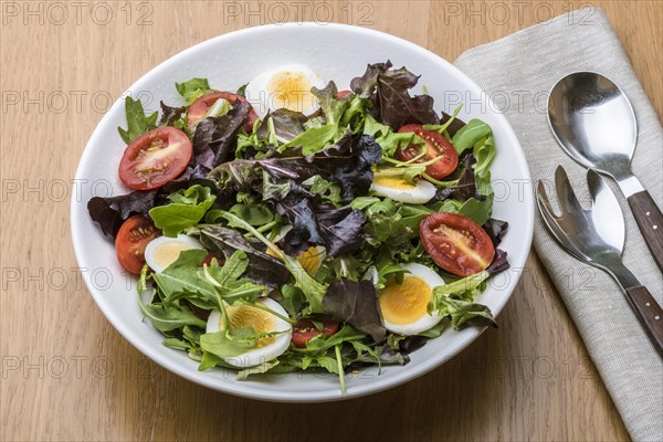 Green and purple leaf salad with tomato and egg
