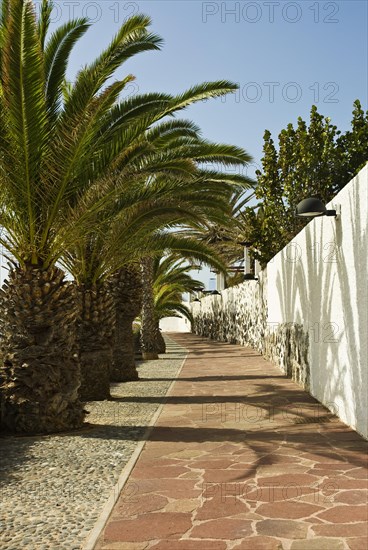 Paved path beside the sea