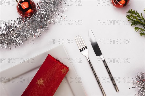 Seasonal christmas dinner table