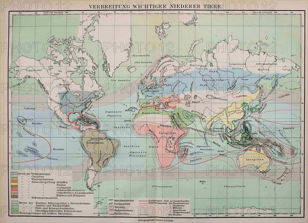 Map of the Distribution of Important Lower Animals