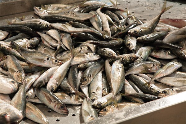 Sardines at the market