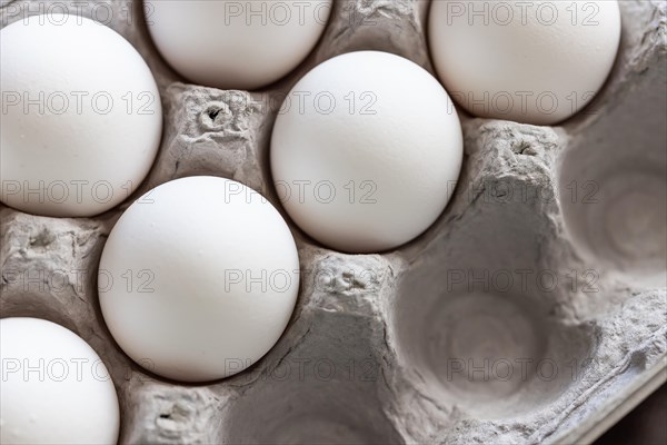 Carton of white chicken eggs