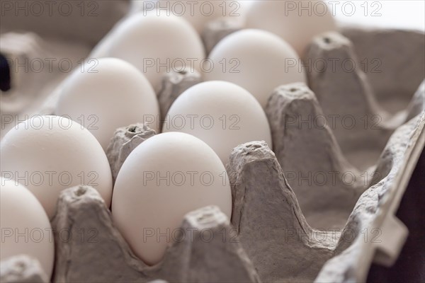 Carton of white chicken eggs