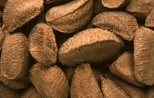 Brazil nuts