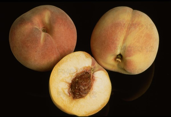 Peaches