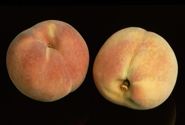 Peaches