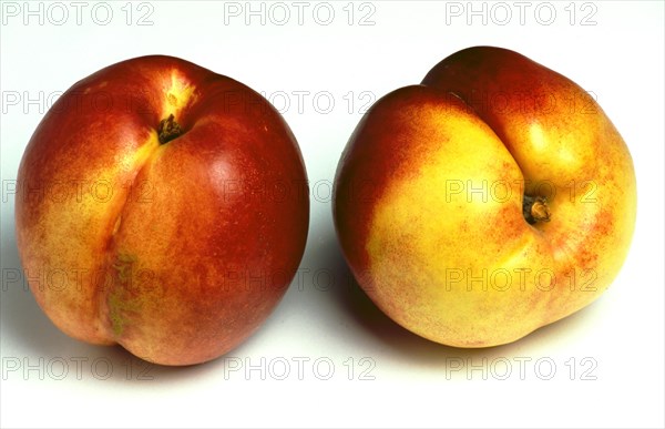 Nectarines