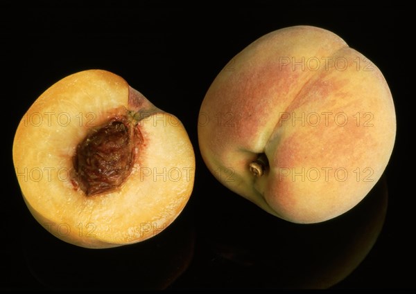 Peaches