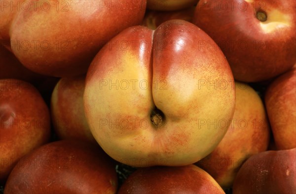 Nectarines