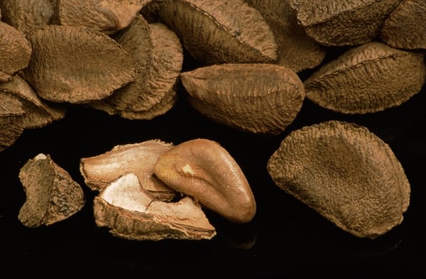 Brazil nuts