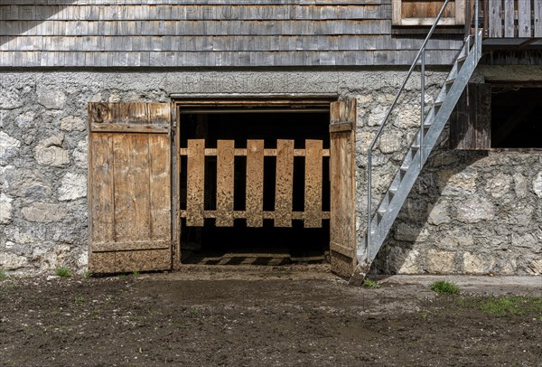 Wooden gate at the cowshed