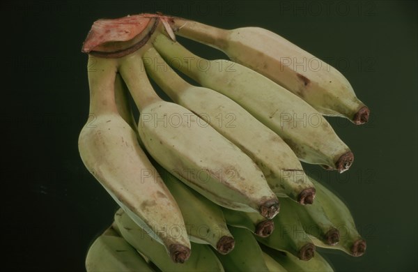 Bananas