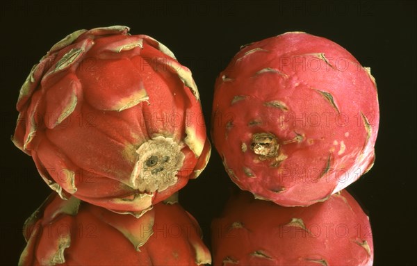 Exotic fruits: Vietnamese dragon fruit