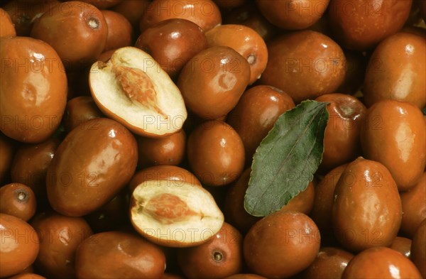 Jujube Mill