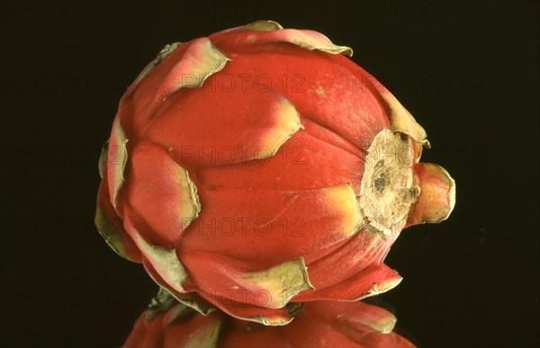 Exotic fruits: Vietnamese dragon fruit