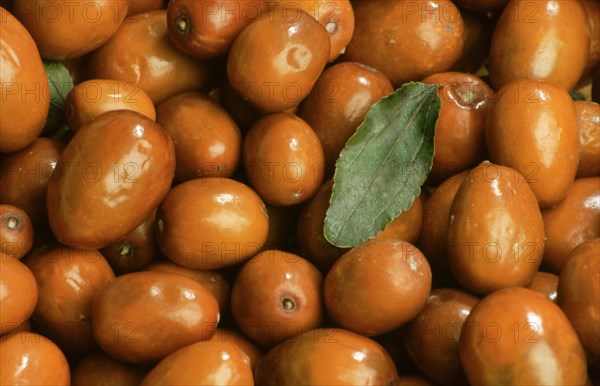 Jujube Mill