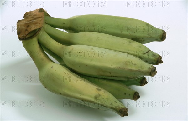 Bananas