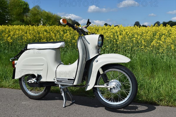 Moped Schwalbe from the GDR in front of a rape field