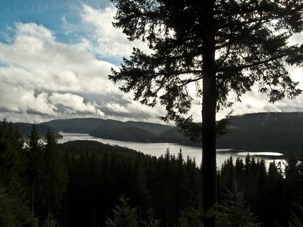 View of Schluchsee from Bildstein