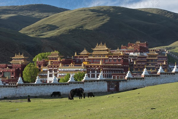 Tibetan Buddhist Monastery Litang