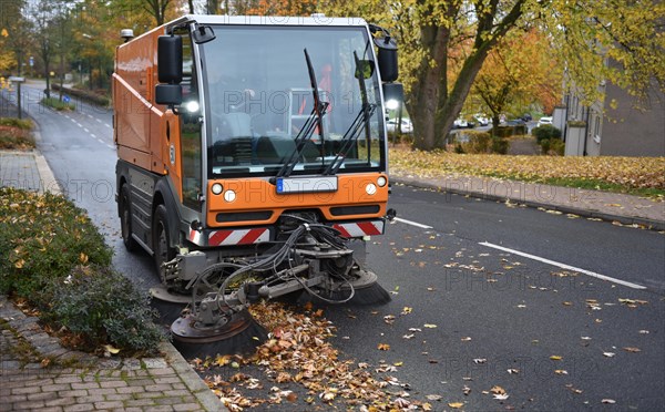 Sweeper sweeps wilted leaves from the road