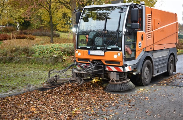 Sweeper sweeps wilted leaves from the road