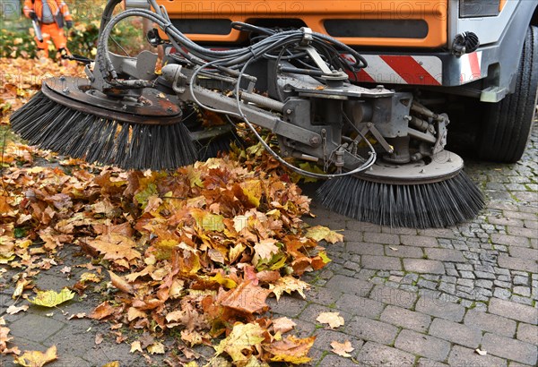 Sweeper sweeps wilted leaves from the road