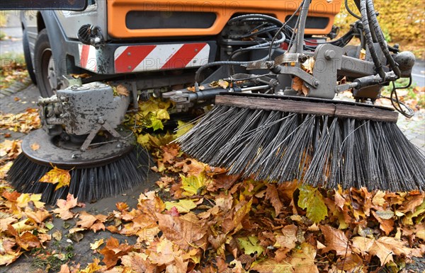 Sweeper sweeps wilted leaves from the road