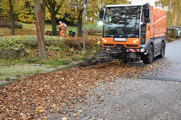 Sweeper sweeps wilted leaves from the road