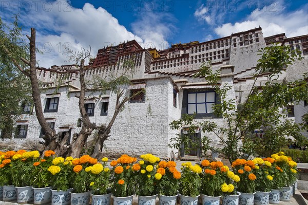 The Potala