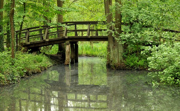 Bridge in the Spreewald near Lehde